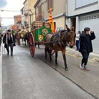 Festa de Sant Antoni Abat
