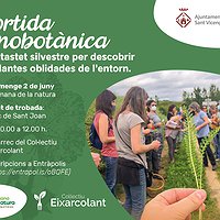 Sortida etnobotànica amb tastest silvestre per descobrir les plantes oblidades de l'entorn