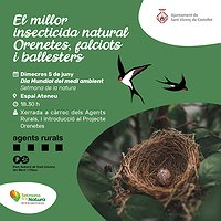 Dia Mundial del medi ambient. El millor insecticida natural: orenetes, falciots i ballesters