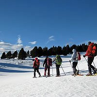 Sortida amb raquetes al Puig del Pam