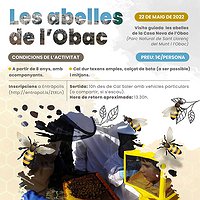 Visita guiada a les abelles de la Casa Nova de l'Obac