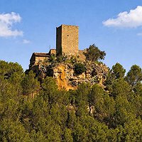 Passejada guiada 'Pujada al turó de Castellet'
