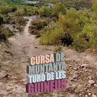 V Cursa Turó de les Guineus
