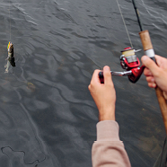 Concurs de pesca a Can Serra