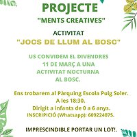Activitat de jocs de llum al bosc en el marc del projecte 'Ments creatives' de l'Escola Montserrat
