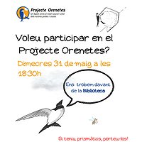 Sessió participativa del 'Projecte Orenetes'