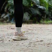 Descoberta del Torrent del Rubió