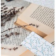 Club de lectura de novel·la