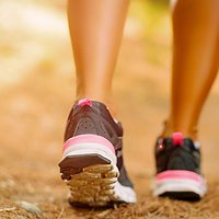 Festa de l'Arbre a Vallhonesta