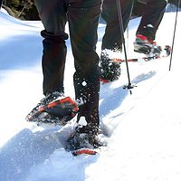 Sortida 'Torreta de l'Orri amb raquetes'