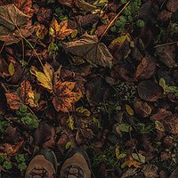 Passejada guiada 'Capvespre de primavera a Sant Jaume de Vallhonesta'
