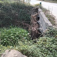 Neteja de l’entorn i manteniment de camins