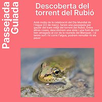 Descoberta del Torrent del Rubió