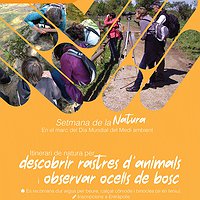 Descobriu rastres d'animals