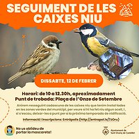 Seguiment caixes niu
