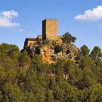 Passejada guiada 'Pujada al turó de Castellet'