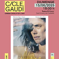 Cicle Gaudí: "Los destellos"