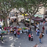 Aprèn a ballar sardanes