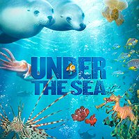 Hora del conte en anglès. Story time: 'Under the Sea'