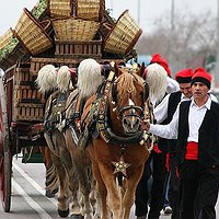 Xerrada: 'Sant Antoni i el Tres Tombs, el Ritual i la Festa'