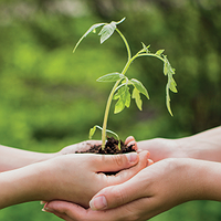Tarda infantil: la natura sempre té històries per explicar
